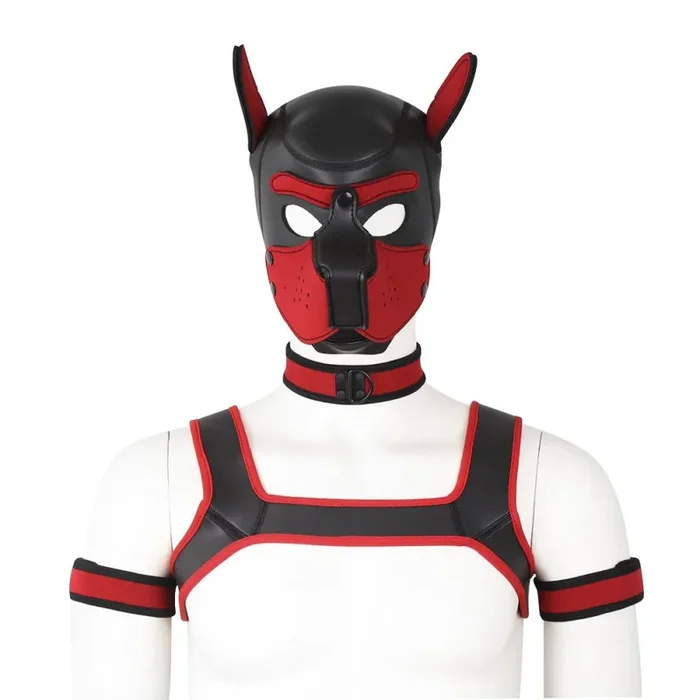 Beta Puppy Play Set – Pup Hood & BDSM Collar & Chest Harness