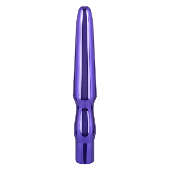 CalExotics Rechargeable Anal Probe – Purple