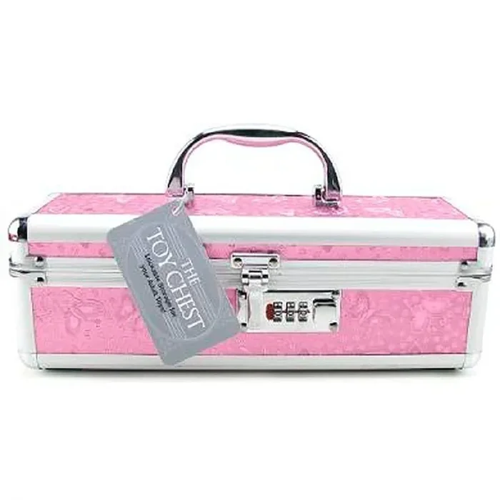 Lockable Toy Box Medium 12 “x4 “x4 “