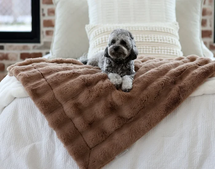 Milk Chocolate Pet Blanket